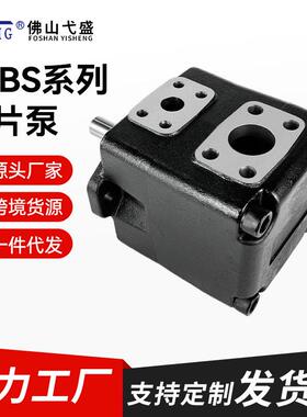 高压叶片泵T7BS-B08 09 10 11 12 14 15 17 20-3R00-A100液压油泵