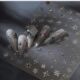 圣诞节雪花新烫银浮雕透明指甲diy美甲贴纸定制秋日显白出游妆容