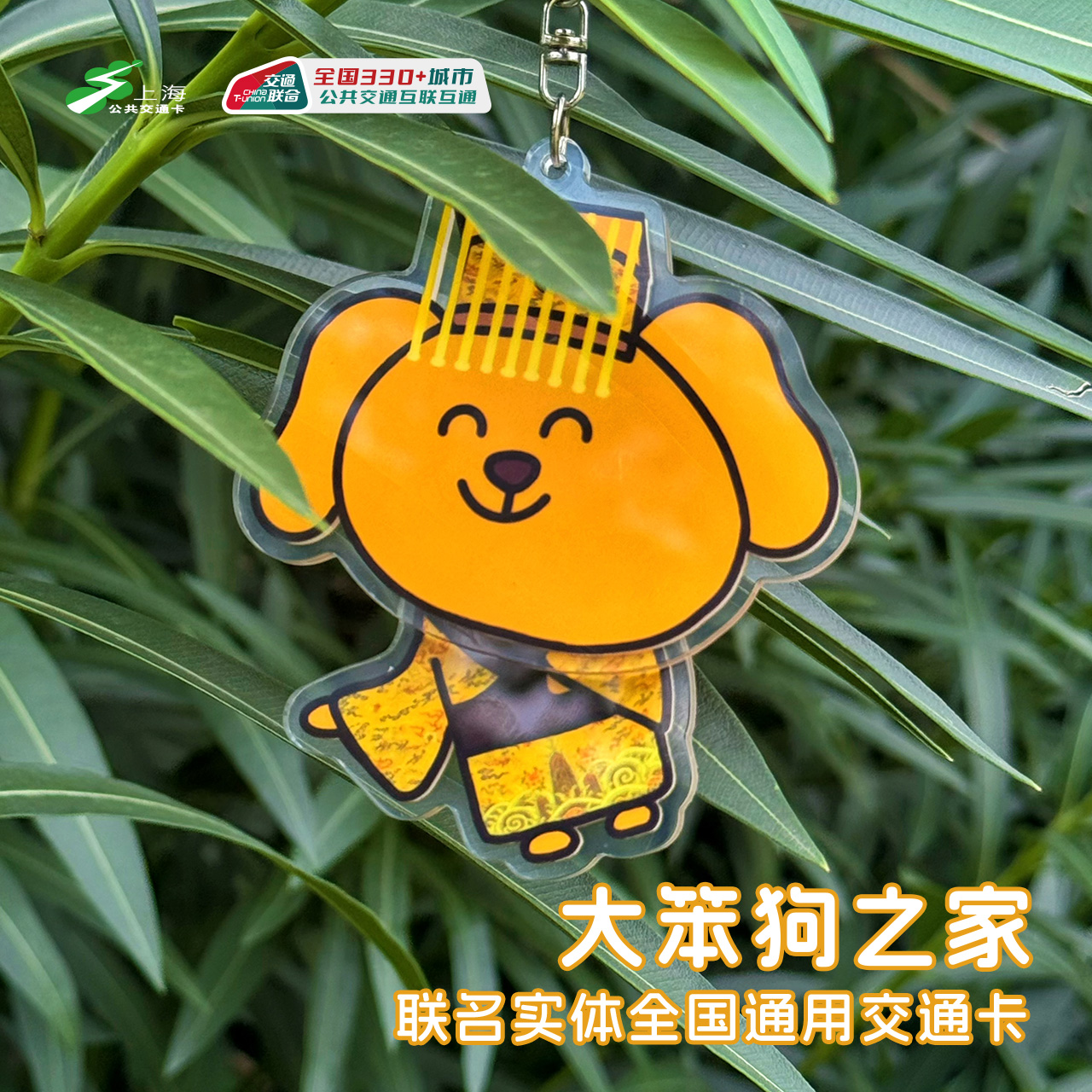 大笨狗之家 联名全国通用交通卡 亚克力