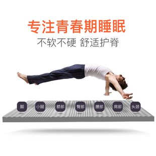 呼呼熊床垫学生宿舍 单人床垫0.8m0.9m床 上下铺寝室床垫90x190cm