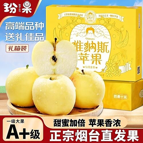 黄金维纳斯山姆供应商正宗烟台