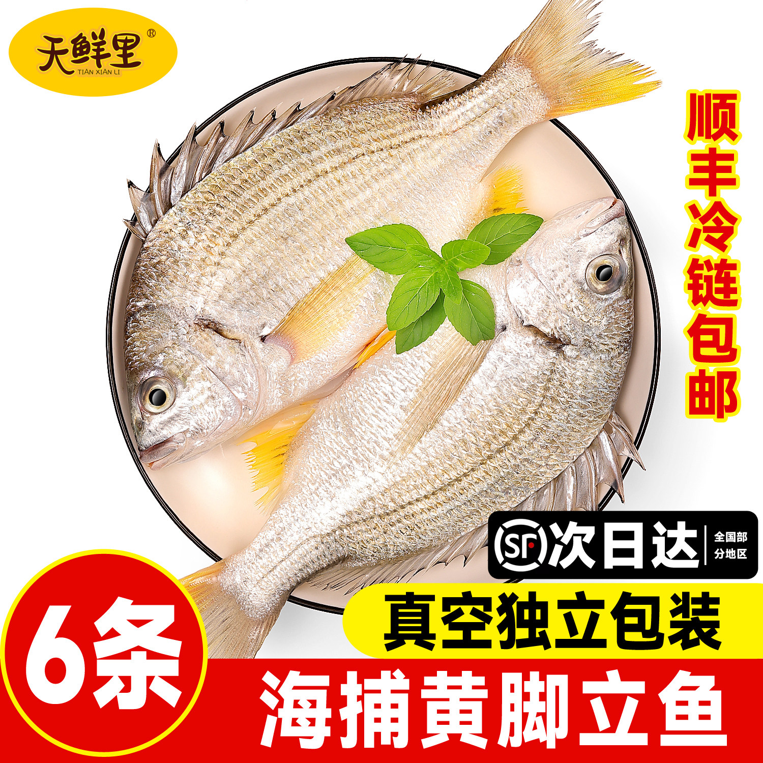 阳江特产黄脚立鱼新鲜顺丰冷链