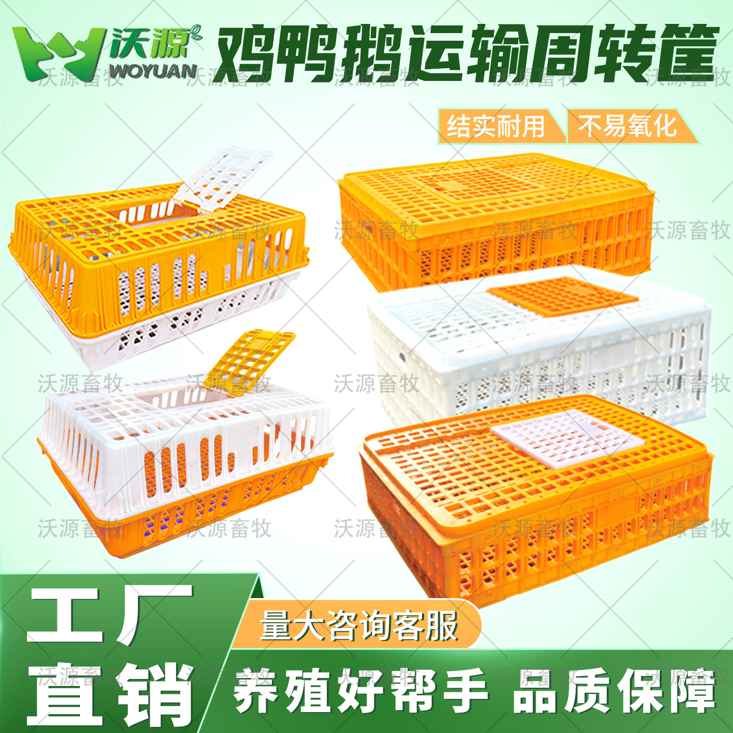 家禽塑料加厚运输周转箱养殖场用