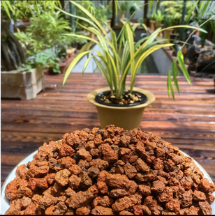 火烧红土兰花蝴蝶兰君子兰石斛兰文心兰花卉绿植通用营养土