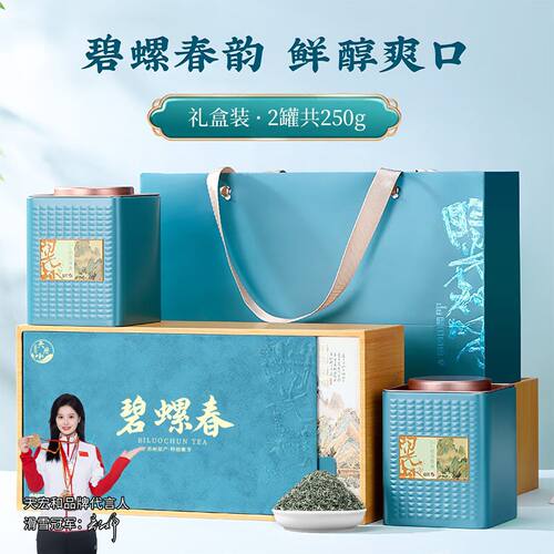 天宏和 明前特级碧螺春新茶高山绿茶嫩芽春茶花果香茶叶礼盒装