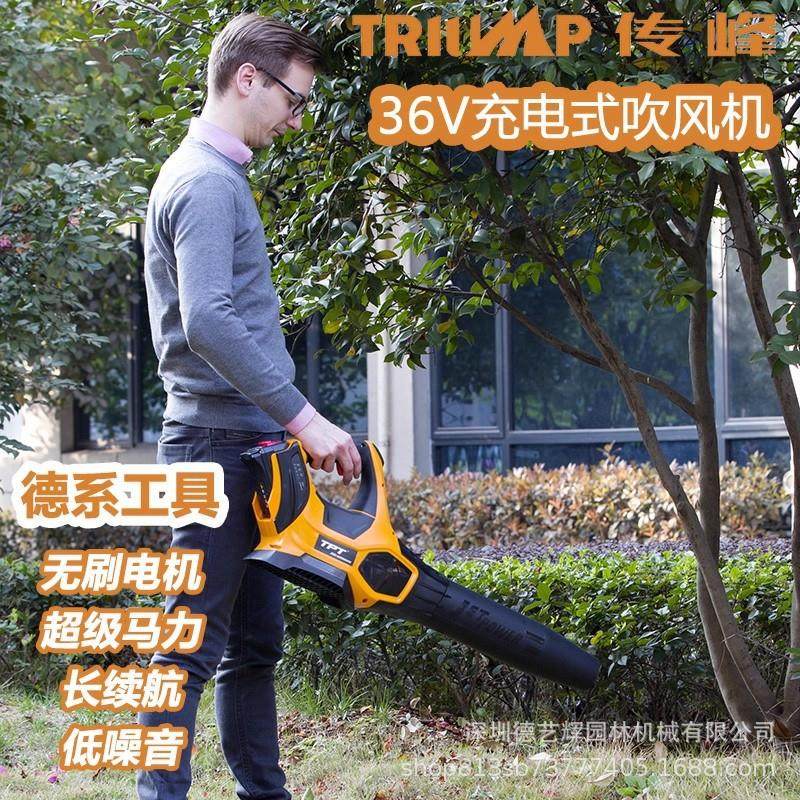 传峰/东脉TPBL3605充电式吹风机手提式风机 36V消防灭火机吹吸机,汽车零部件/养护/美容/维保,工程机械轮胎,淘宝优惠券,粉丝福利购,淘宝优惠卷