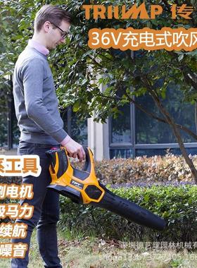 传峰/东脉TPBL3605充电式吹风机手提式风机 36V消防灭火机吹吸机