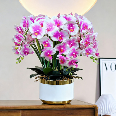 高档蝴蝶兰仿真花客厅电视柜摆设餐桌公司前台摆件假兰花装饰盆栽