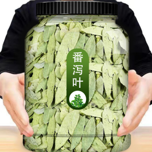 【官方直营】无碎正品天然泻叶非特级番泻叶蕃泻叶潘泄叶非通秘茶