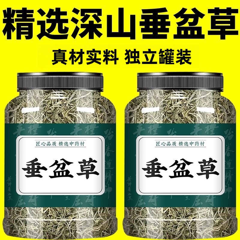 【茸礼堂】垂盆草中药材干货泡茶正宗垂盆草中药养生茶正宗垂盆草