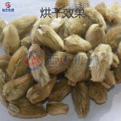 辛夷花侯烘机 大型?桃木毛桃花干香URL料烘干房 辛夷花兰茶烘干设