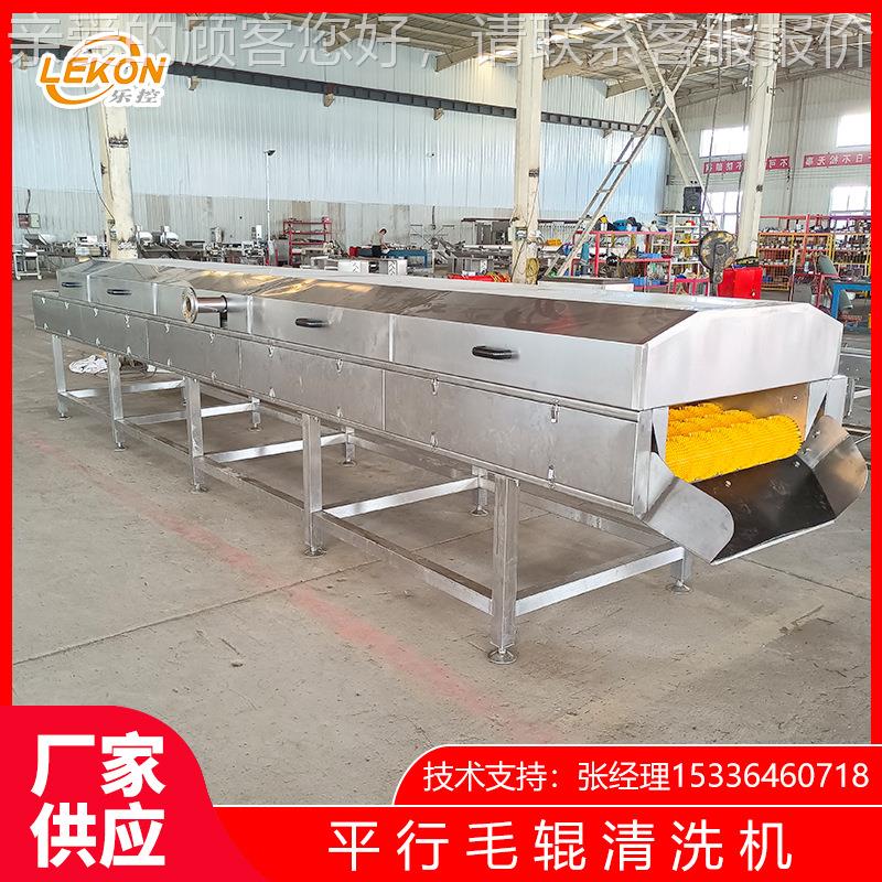 LK-MG-006海蛎子毛辊清洗机 扇贝牡蛎去泥沙清洗设备生产厂家