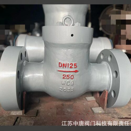 H41Y-250C自密封升降式止回阀 碳钢升降式阀 高温蒸汽逆止阀
