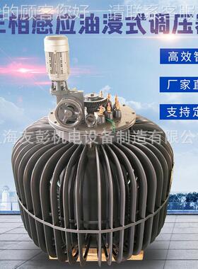 SJTA-31大5KVA三相功率感式调压器0TDGC2-3K-650V油浸式应调压器2