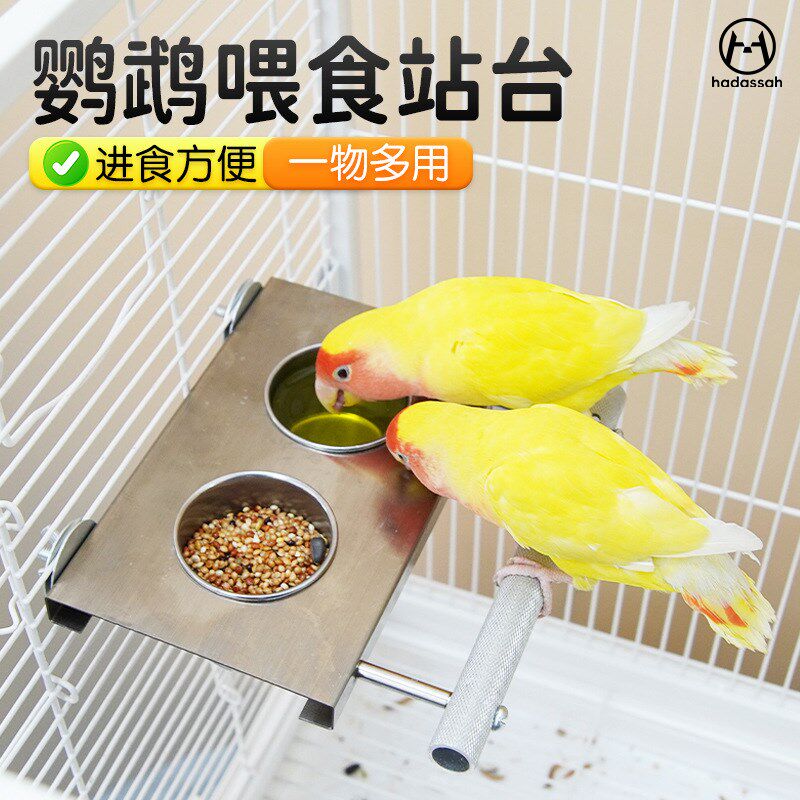 不锈钢鹦鹉鸟食盒带架子站台双碗喂食喂水器鸟食罐觅食可悬挂造景