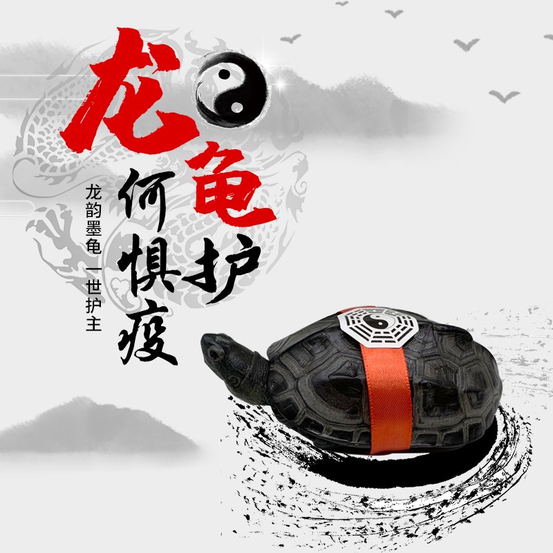 2022墨纹龙龟虎纹金龟纯种全黑顶墨龟养一对中华金线活物稀有乌龟