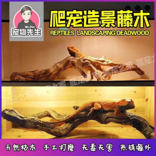 霸王藤木爬宠造景木鬃狮蜥蜴晒台豹纹睫角守宫爬虫箱装饰枯木树枝