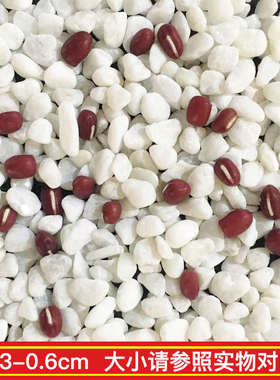 50斤小白石花园庭院铺地日式室内造景白色石头景观铺路白石子鹅卵