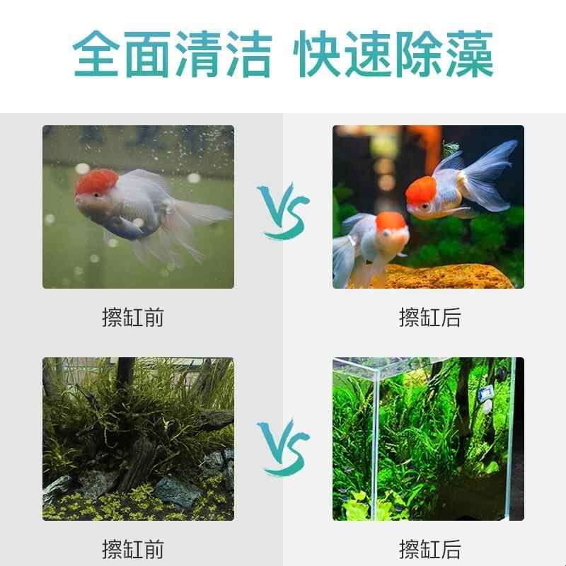 Nepall鱼缸刷磁力刷清洗擦玻璃缸器小型清洁除藻工具图片