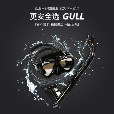 GULL浮潜面镜潜水镜可换近视潜水面镜浮潜三宝呼吸管套装潜水装备