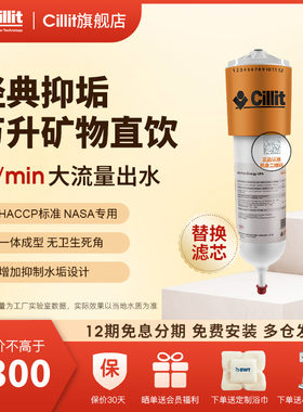 Cillit水丽原装进口净水器家用台下式过滤器自来水厨房净水Energy