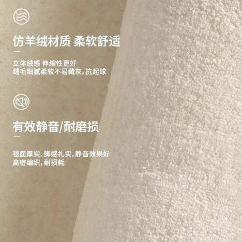 地800毯客厅225新款卧室边轻奶油风免打理0可擦地床垫厚大面奢积