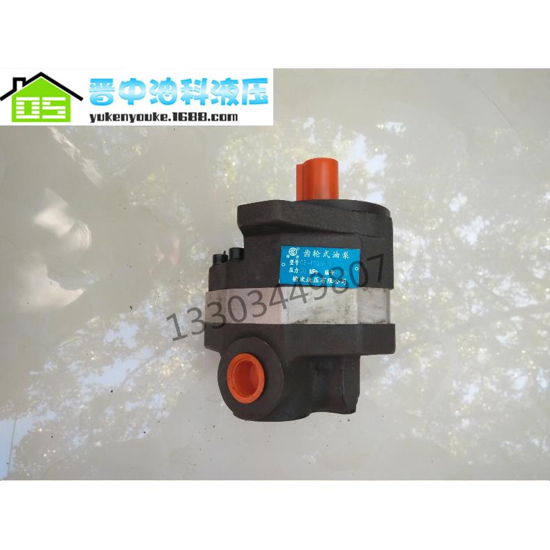 （厂家直销）有限公司CB-FD40-FL系列齿轮泵件