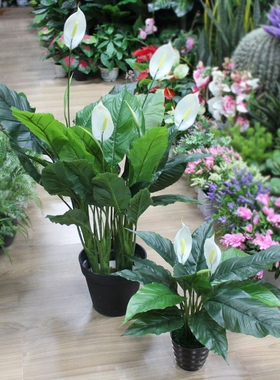 一帆风顺仿真绿植 仿真花草植物 店面配饰陈列道具客厅装饰假植物