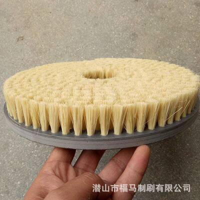 圆盘PV猪鬃小毛刷抛光机圆盘刷圆形文玩桃软毛C海鲜清洗核圆刷盘