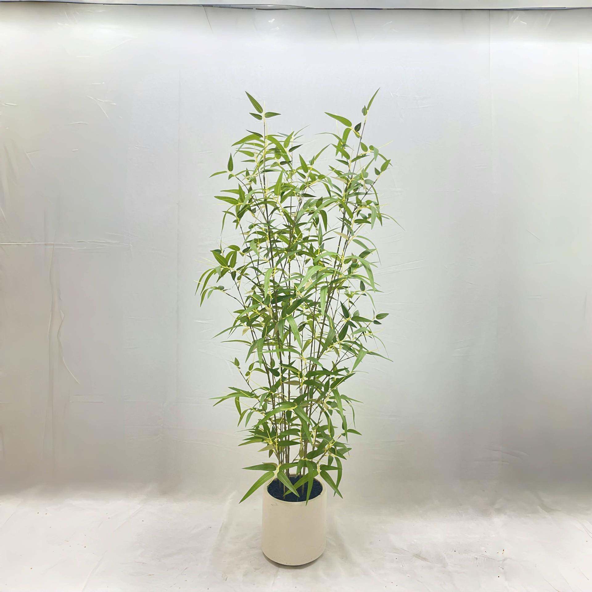 仿四真黄叶ltao8064竹栽室内客厅仿落真树大型绿植地花盆季常盆青