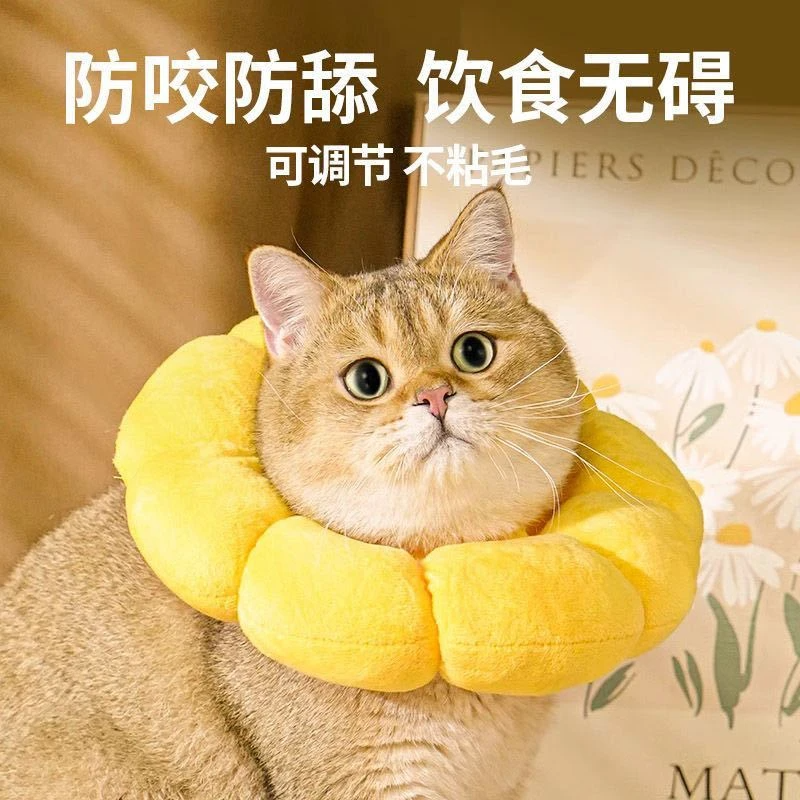 猫咪项圈伊丽莎白圈柔软防舔软头套耐用伊利沙白脖圈绝育用品Y