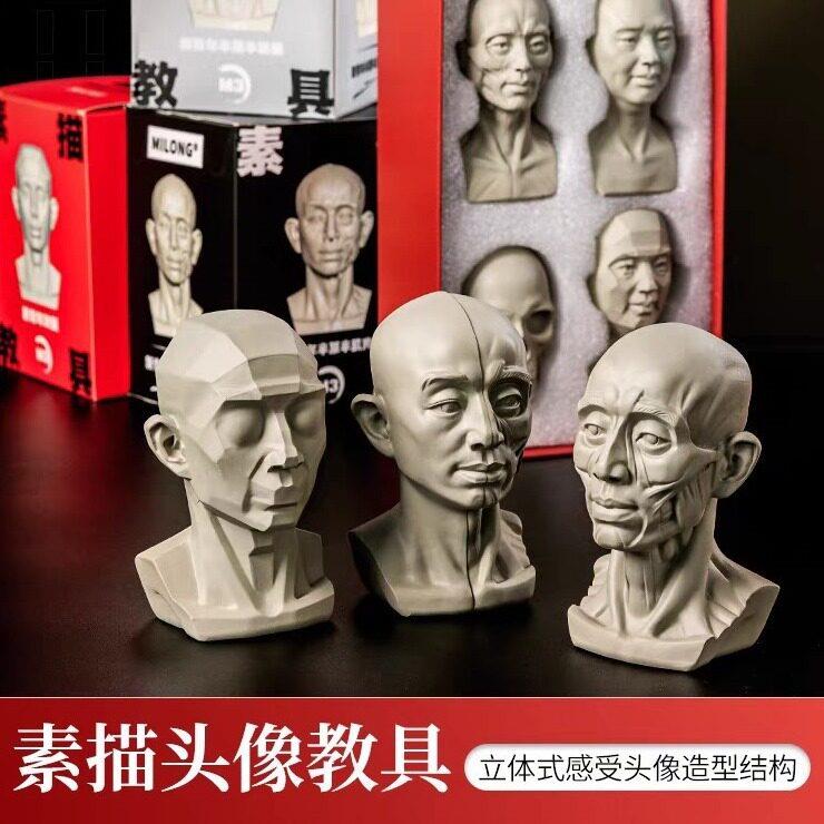 头像教具米隆写生美术素描石膏像肌肉树脂静物摆件模型雕塑美术生