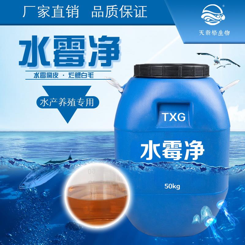 水产养殖水霉净水霉病水霉清硫醚沙星白毛病腐皮烂鳃烂尾
