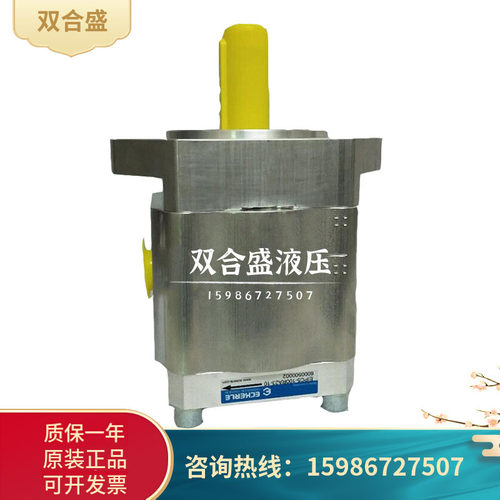 艾可勒ECKERLE齿轮泵EIPC6-125/160RK2/RA23-11油泵电动增压
