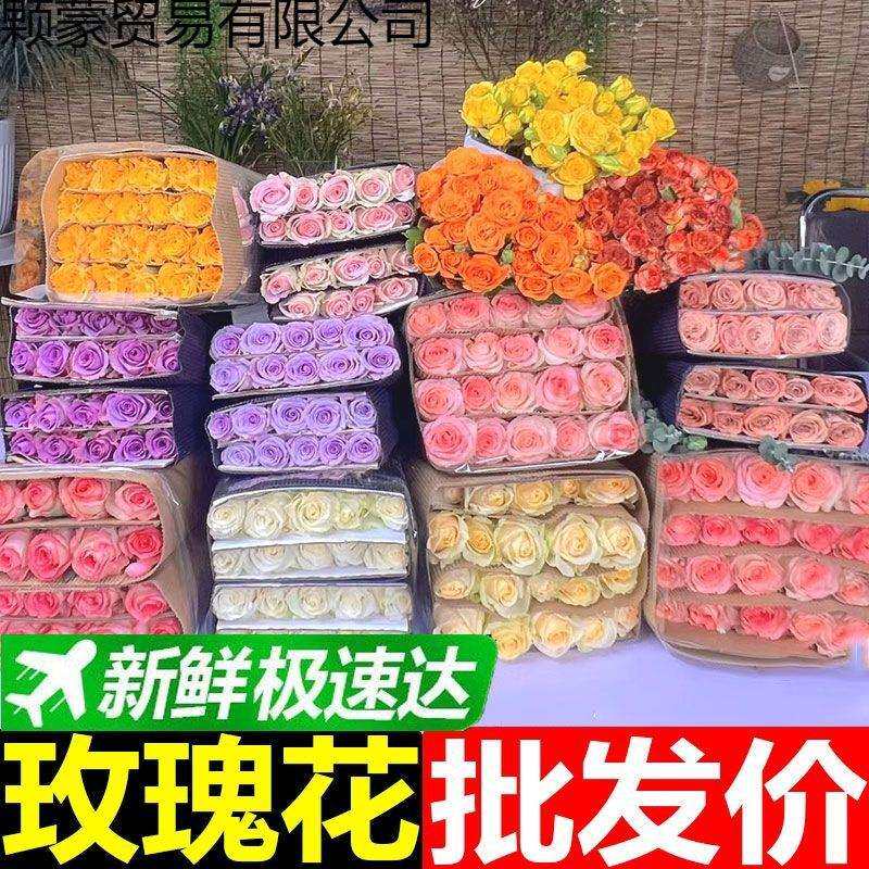 玫瑰鲜花碎冰蓝真花艾莎玫瑰花束香槟520情人节基地直发