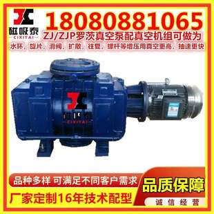 扬州ZJP-150罗茨泵配件真空罗茨泵气体传输泵ZJ150罗茨真空泵