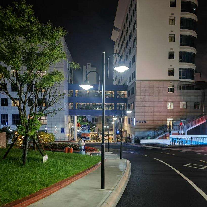 3米4米公园小区景观灯庭院灯仿古灯灯笼灯草坪灯灯具灯杆