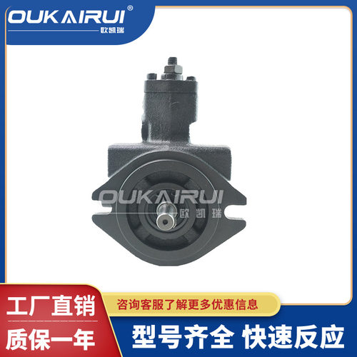 VPKCCTCVVP叶片泵VB1B1VE1E1VPVCTCVPVPKC-F12/15/20/30/40