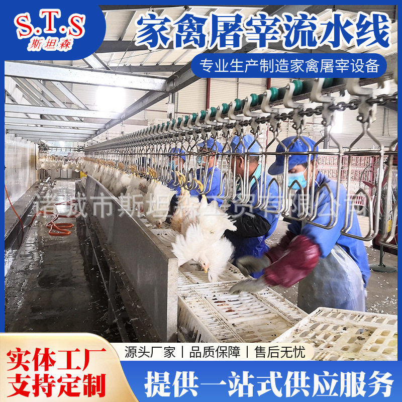 鸡鸭自动屠宰流水线设备 鸭屠宰流水线设备 家禽屠宰设备厂家