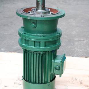 立式双轴型减速器单级BLY11摆线针轮减速机配件图纸可来图定货