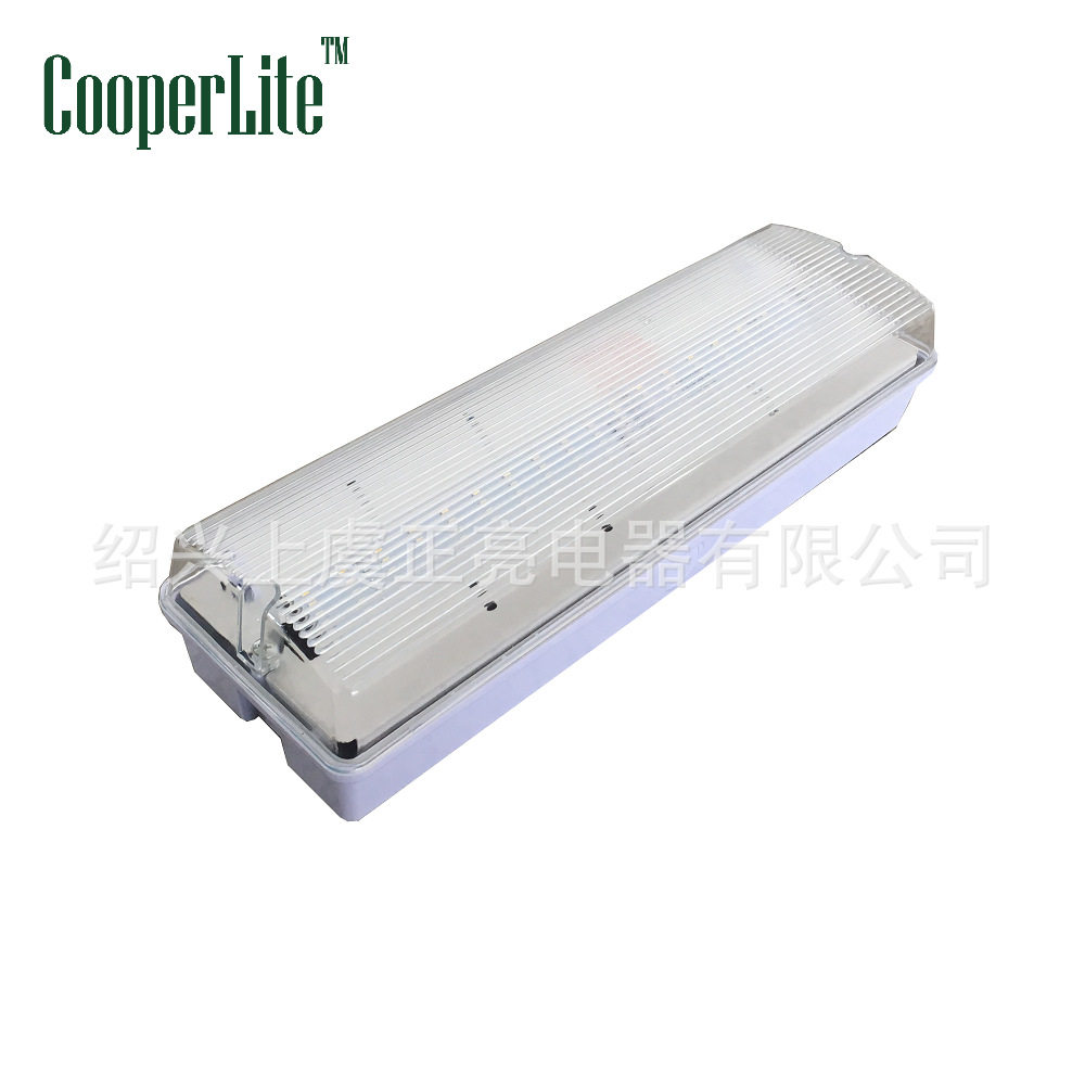 出口欧洲款式3W常亮/非常亮照明应急吸顶灯