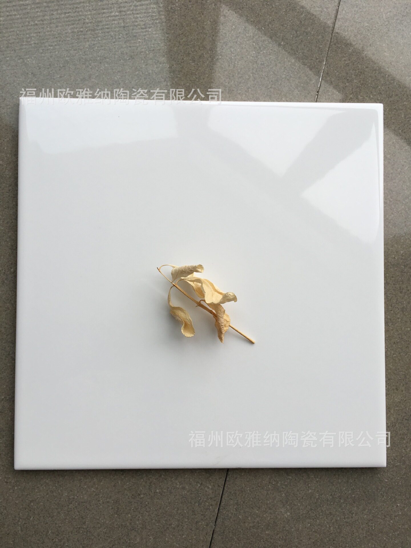 本地瓷砖200×200白色不透水墙砖批发小规格彩色内墙砖工程砖