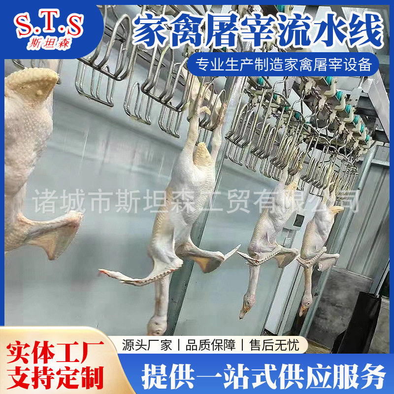 全自动鸡鸭鹅屠宰流水线