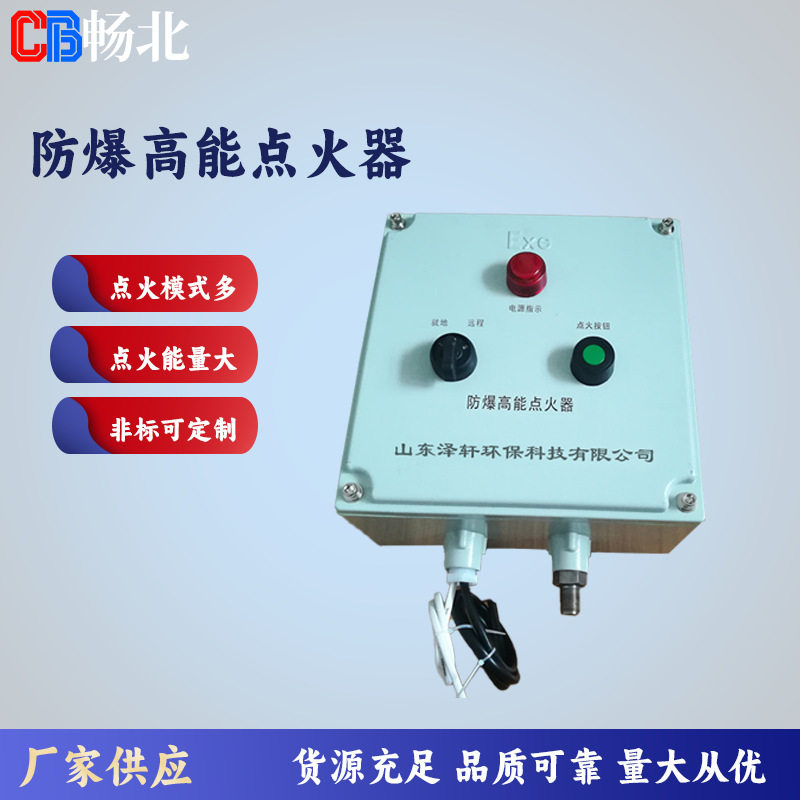 防爆高能点火装置工业火炬点火器焚烧炉点火装置输入220V能量20J图片