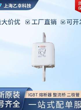 巴斯曼熔断器  170M6878 170M6879 170M6880 170M6881 170M6882