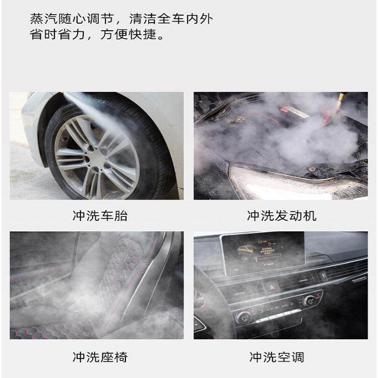 蒸汽洗车机高压220V水蒸气高温消毒清洗机洗车店清洗商用洗车设备