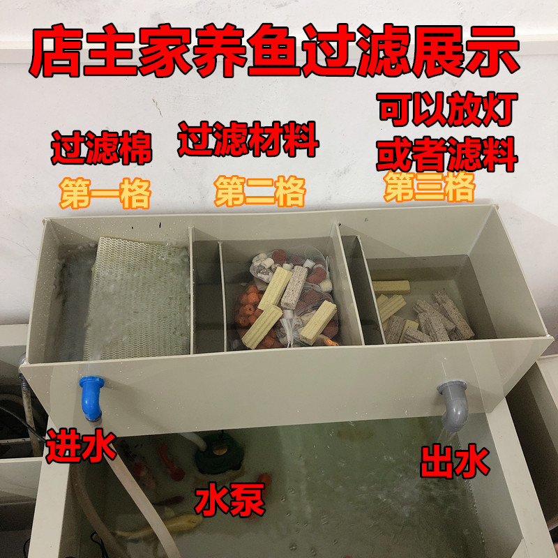 PP塑料板上过滤盒鱼箱海鲜池鱼池海鲜池循环过滤器鱼缸底滤