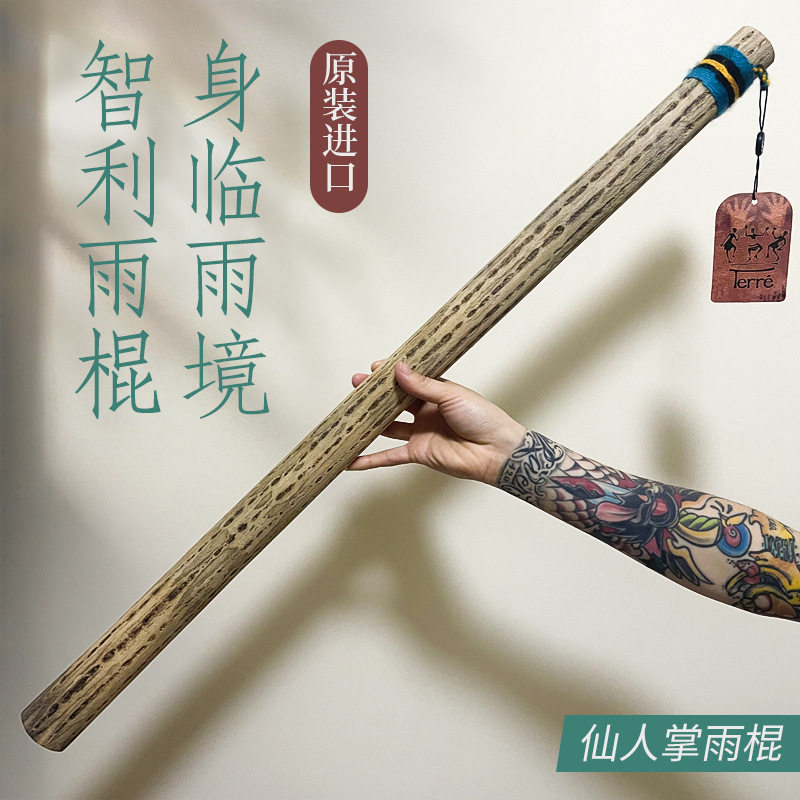 德瑞智利仙人掌拟音雨声器