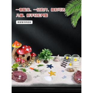 寄居蟹饲养屋新手懒人套餐儿童迷你塑料办公桌爬宠箱造景别墅乐园
