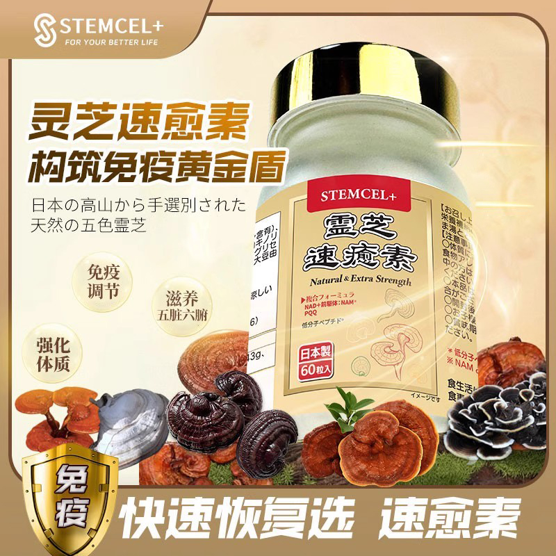 免疫提升體力恢復氣血充足